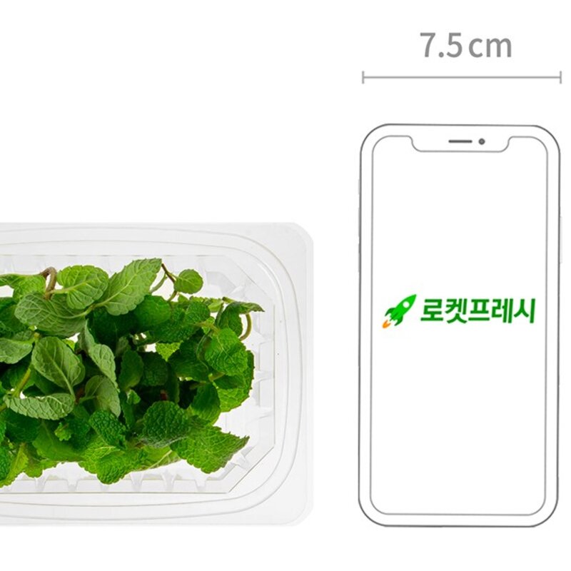 국내산 애플민트, 10g, 1개