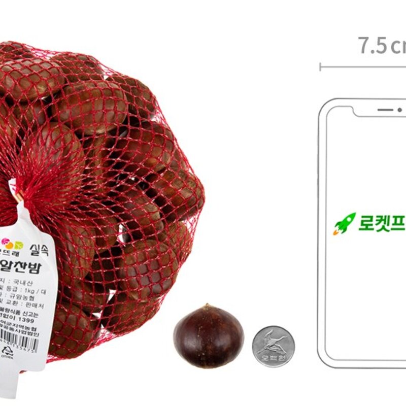 굿뜨래 알찬 실속밤, 1kg(대), 2개