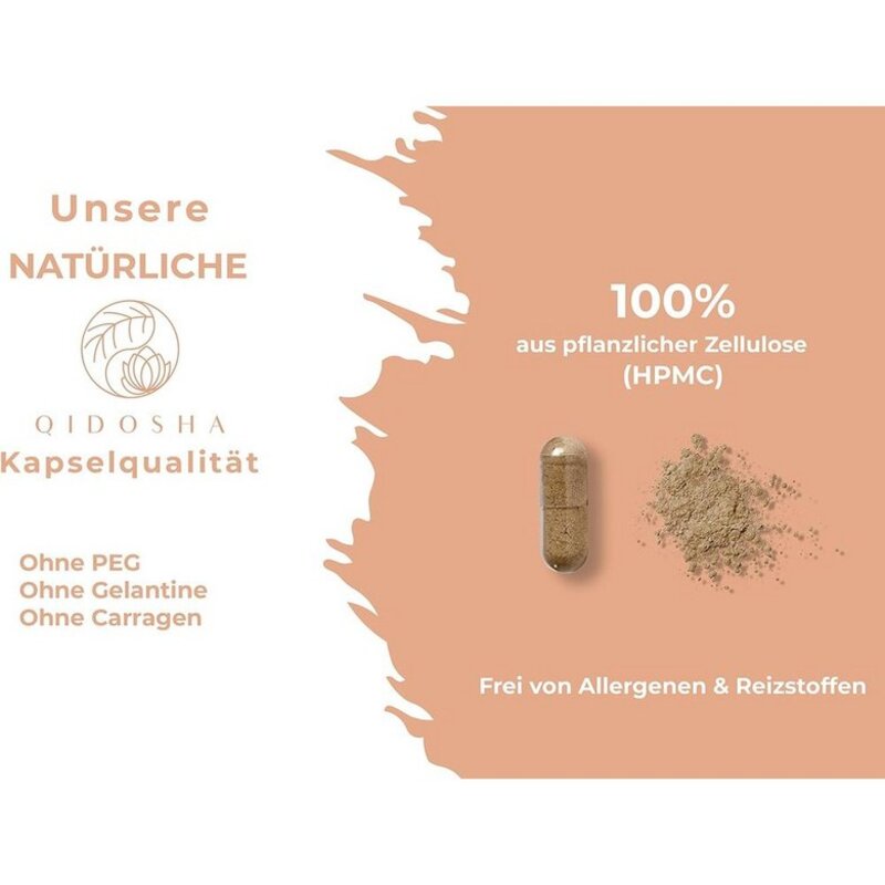 독일 키도샤 QIDOSHA Maitake Extract 잎새버섯 추출물 1000 mg, 6개, 120정