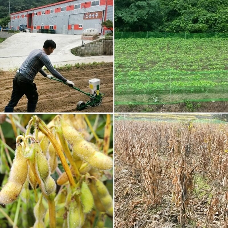 힐푸드 국산 콩 알메주 알알이 알콩 메주 1kg, 1개