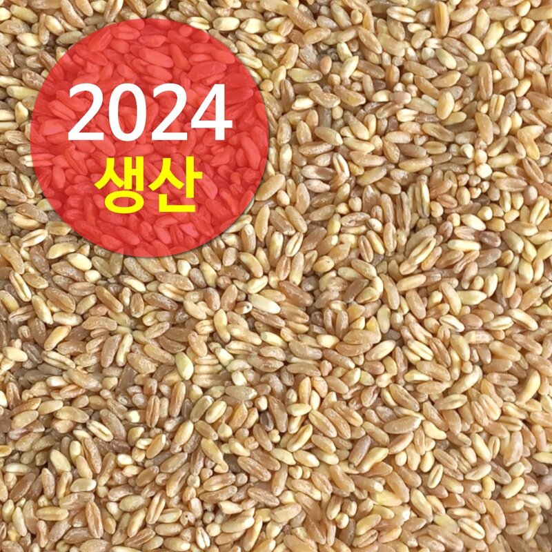 수입 호라산밀 5kg (2024년산), 1개