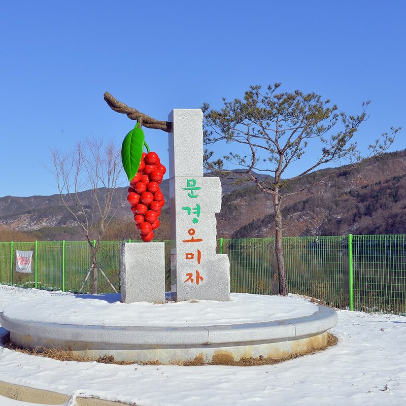 문경 오미자청 원액 500ml 2병 오랜전통1996년, 1개입, 2개