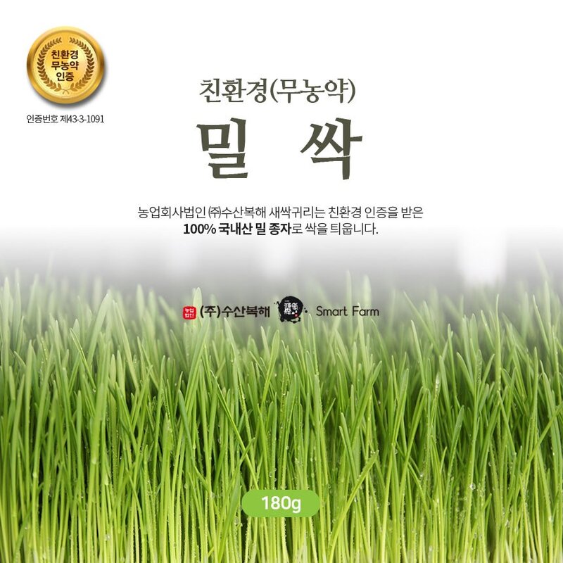 수산복해 친환경인증 국내산 밀싹 분말 180g, 1개