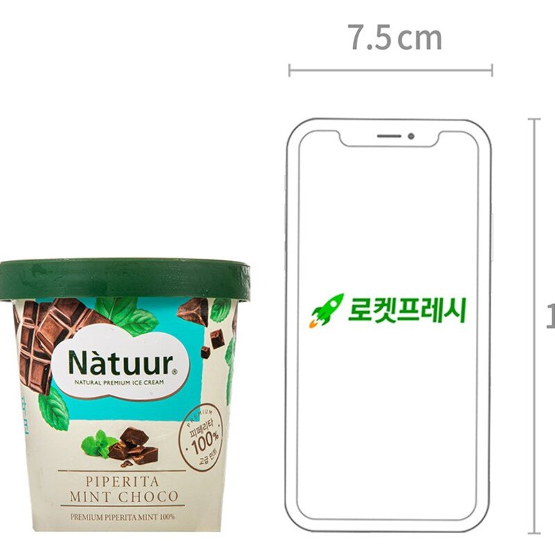 나뚜루 피페리타 민트 초코 아이스크림 (냉동), 474ml, 2개