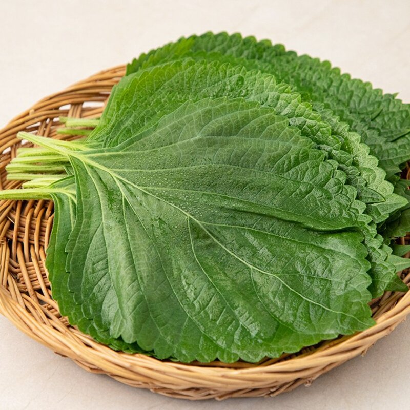 유기농 깻잎, 50g, 1팩