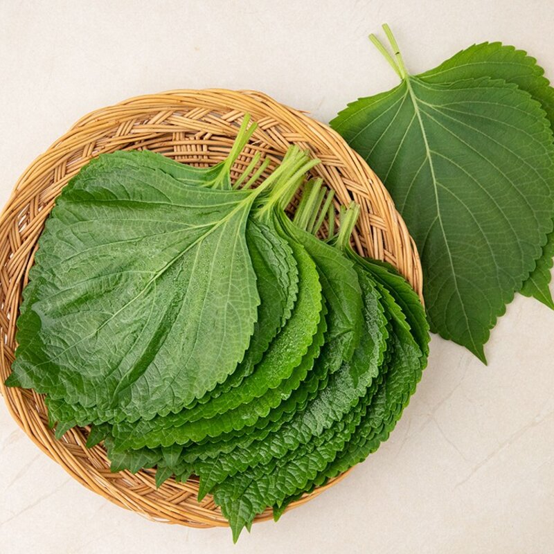 유기농 깻잎, 50g, 1팩