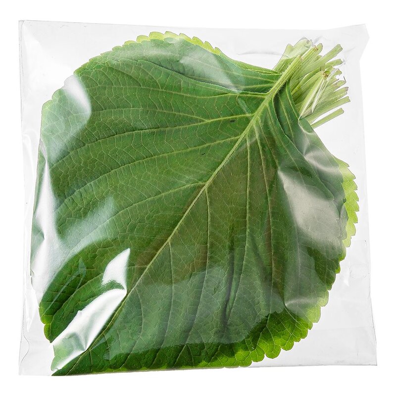 유기농 깻잎, 50g, 1팩