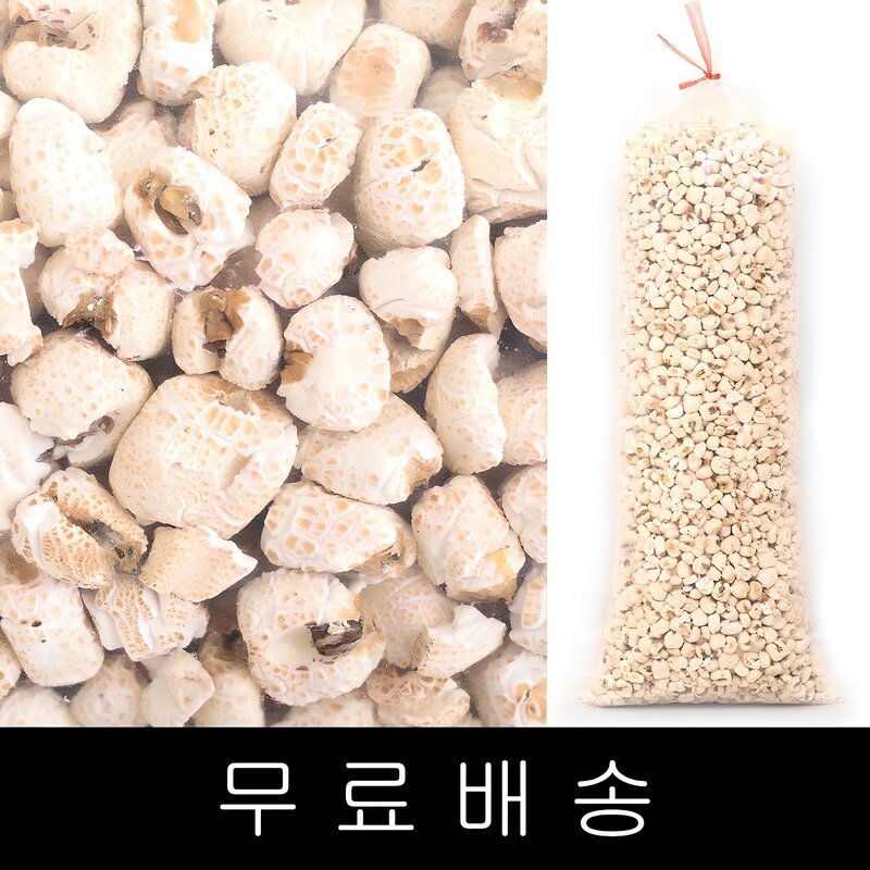 코리아푸드 백옥콘 강냉이 1.4kg box포장, 1개