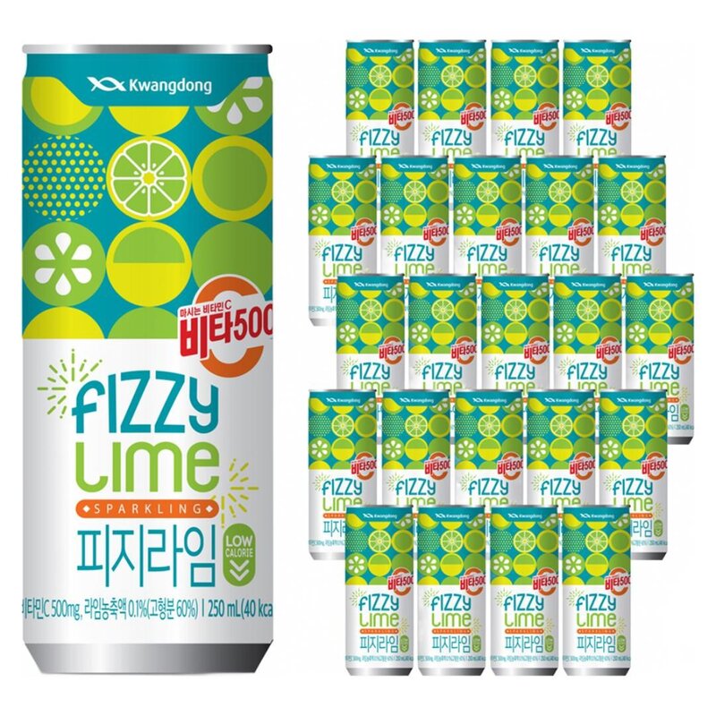 비타500 피지라임, 24개, 250ml