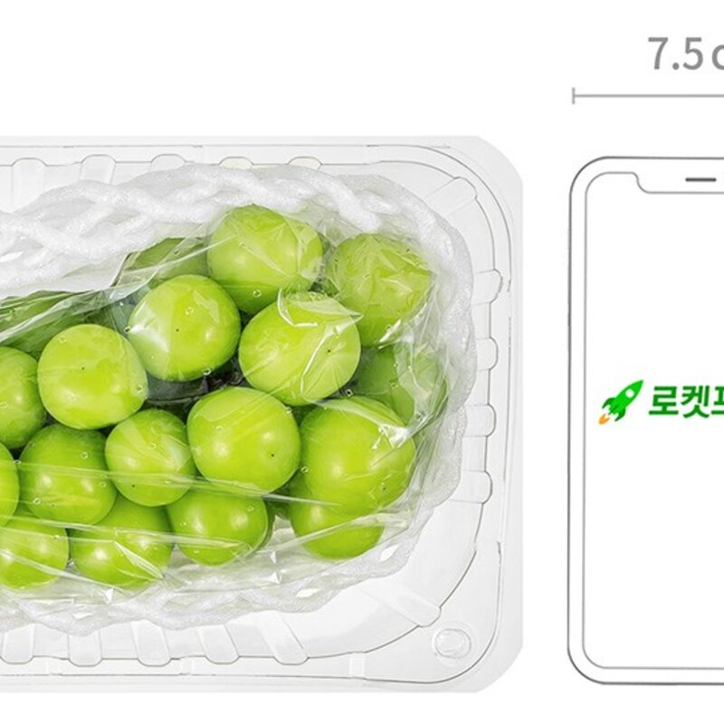 샤인머스켓, 500g, 1팩