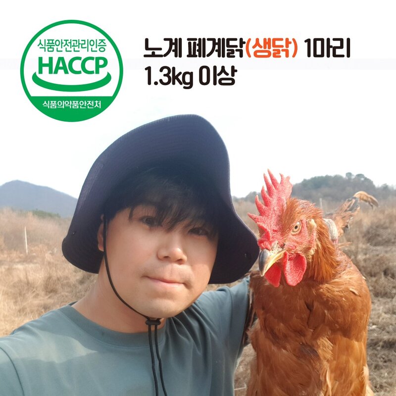 노계닭 폐계닭 chicken 1마리 (냉동), 2개