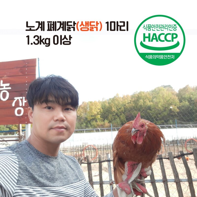 노계닭 폐계닭 chicken 1마리 (냉동), 2개