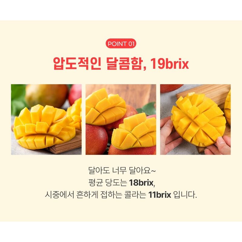 [산지에서바로] 당도선별 애플망고 프리미엄 선물세트 항공수입, 1박스, 애플망고 2kg 내외(4-6과)