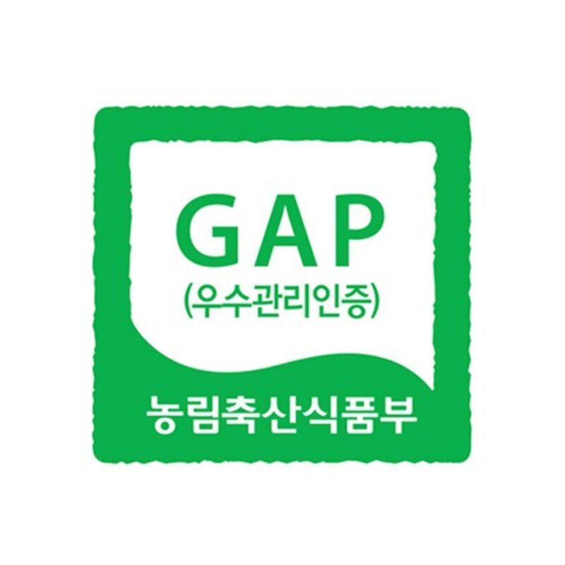 산지직송 제이드가든 GAP 인증 무화과, 500g, 2팩