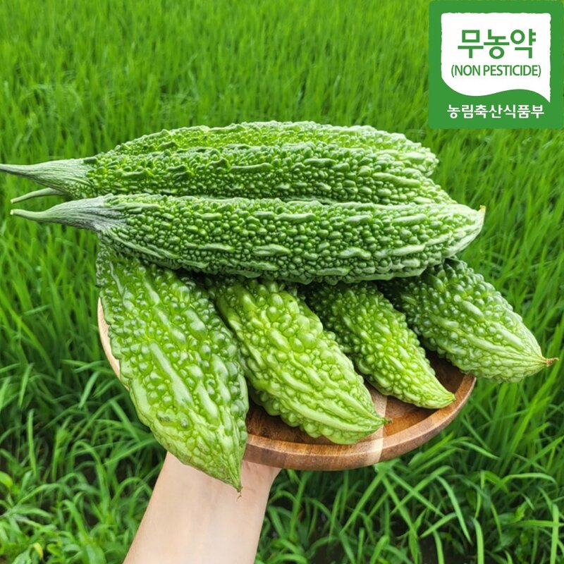 천지농원 무농약 국산 볶은 여주차, 100g, 1개, 1개입