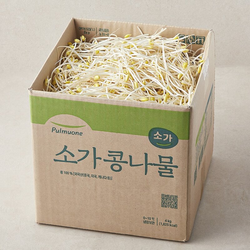 풀무원 소가 콩나물, 1kg, 1개