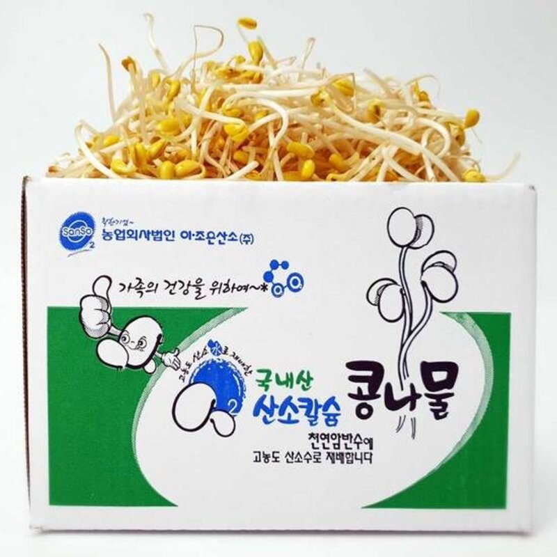 [무농약 국산콩] 산소 콩나물 1kg, 1개