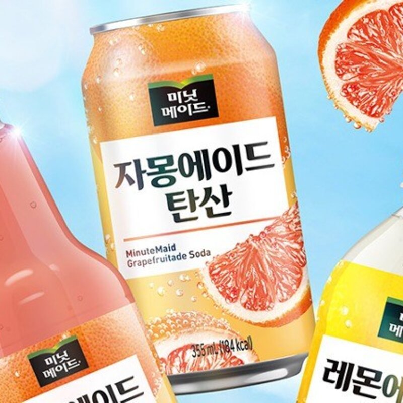 해태htb 미닛메이드 자몽에이드 탄산, 355ml, 48개