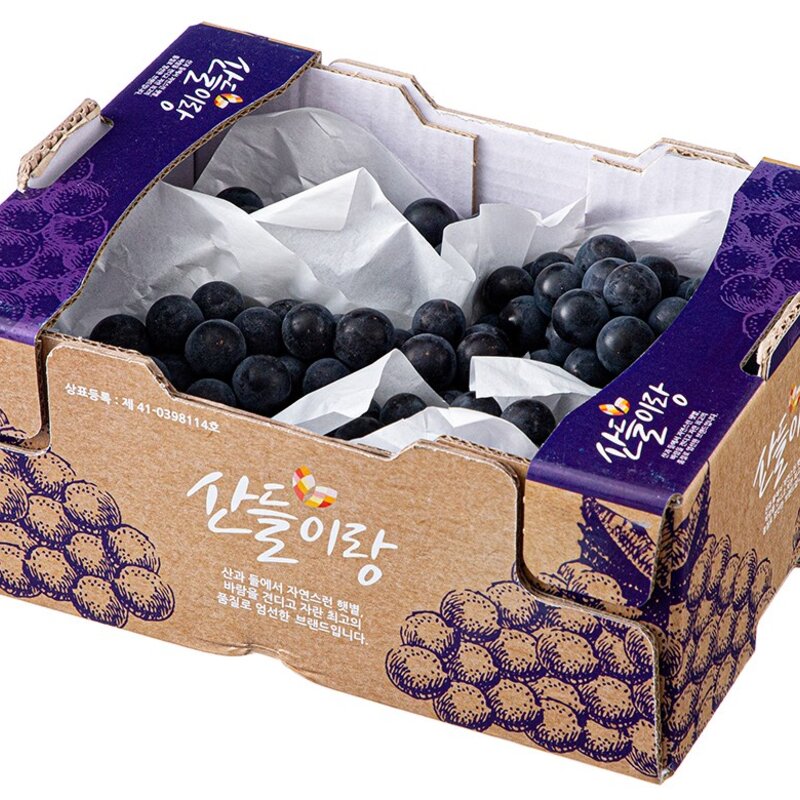 산들이랑 캠벨 포도 3~5수, 1kg, 1개