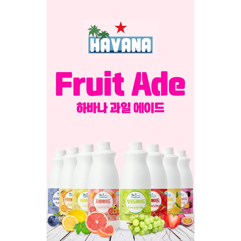 HAVANA 하바나 패션후르츠 카페 대용량 업소 1.8kg, 블루베리에이드 1.8kg