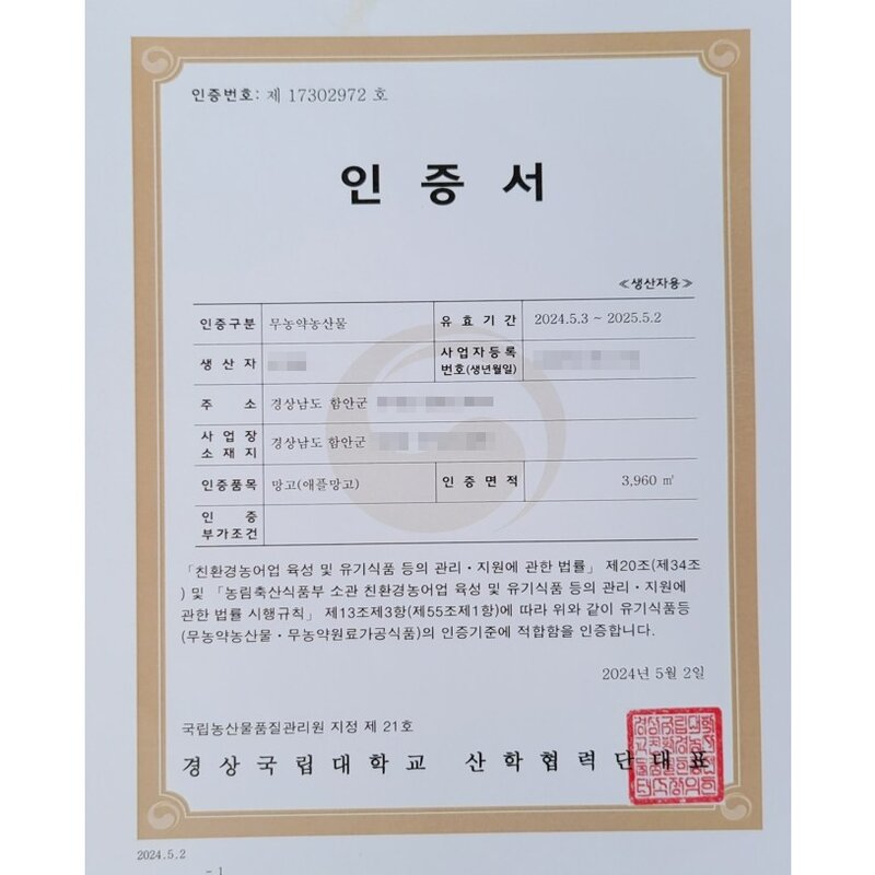 국내산 올탄탄 달고존 애플망고 무농약 고당도 고급 선물세트 2kg, 1개