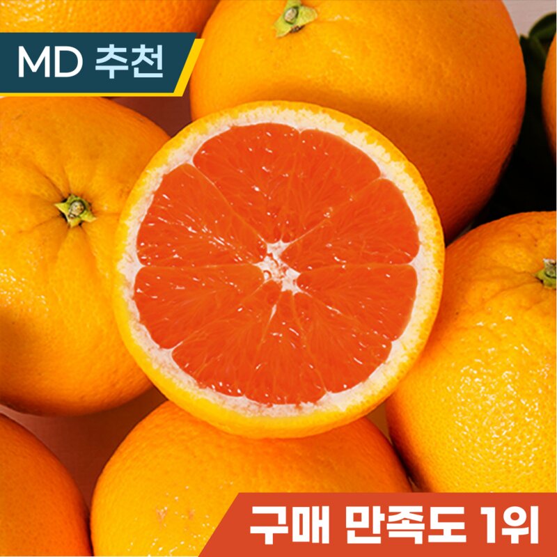 카라카라 오렌지 고당도 프리미엄 orange, 1박스, 중과 20과수