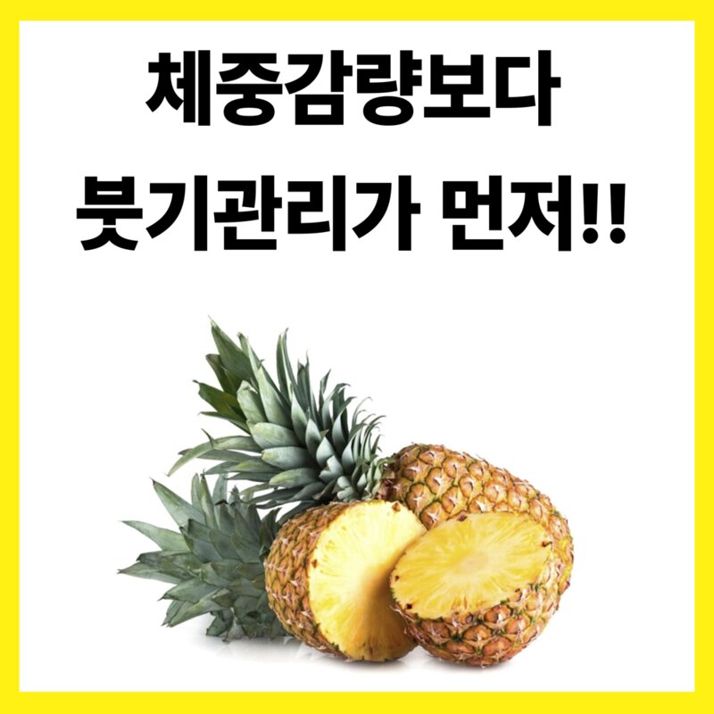 [온몸플러스] 브로멜라에스 브로멜라인 파인애플 효소 퀘르세틴, 1개, 60정