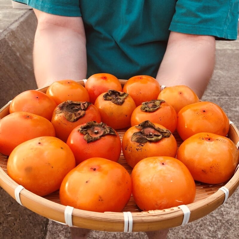 프리미엄 청도반시 홍시 연시 씨없는감, 1박스, 2.5kg 소과 30과 내외