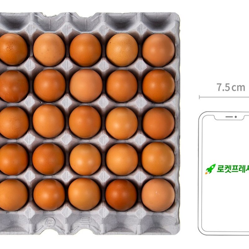 곰곰 무항생제 신선한 대란, 30구, 1개