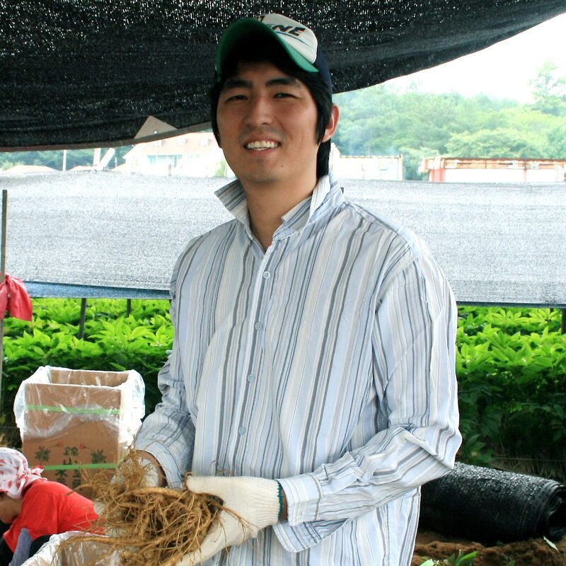 금산인삼 오쿠용 1회분 세척 인삼 수삼 난발 원삼(250g), 1개, 난발 10-25뿌리(250g)