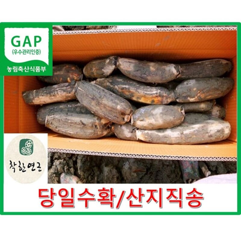 착한연근 국내산연근 말린연근/건조연근 500g /180g 직접건조, 1개, 건조연근500g