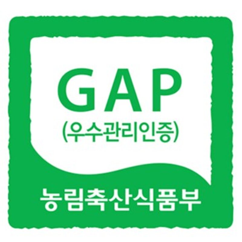 프레샤인 GAP 인증 충주 못난이사과, 3kg, 1개