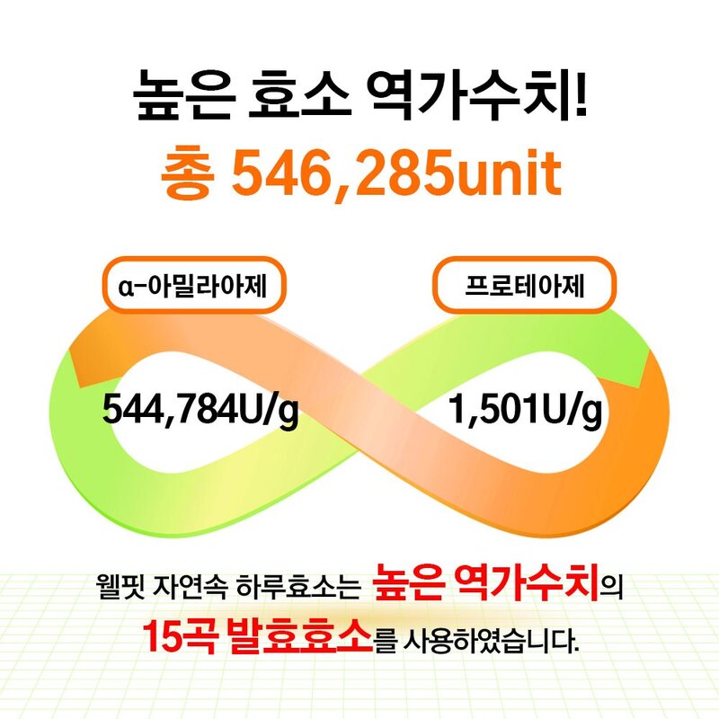 자연속 하루 효소 곡물 발효 효소 유산균 45종, 90g, 5개