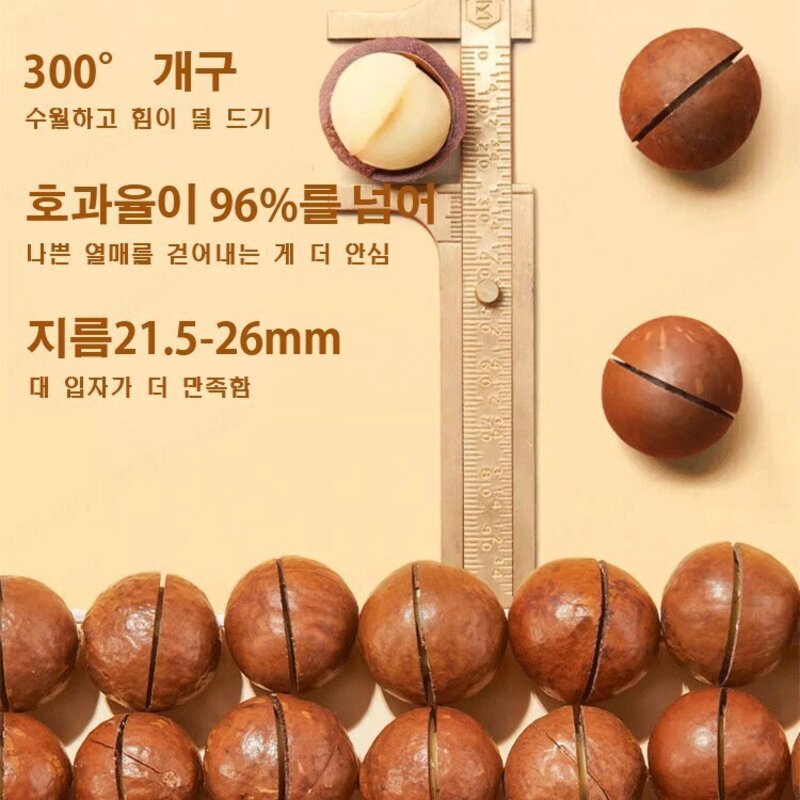 2+2/1+1수면 안정/혈류 개선 마카다미아견과류 무첨가/건강 1kg/2kg, 250g*1, 250g * 1, 1개