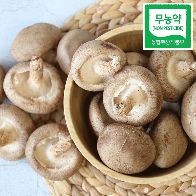 광헌팜 생표고버섯 1kg/2kg/4kg, 표고버섯 가정용 1kg, 1개