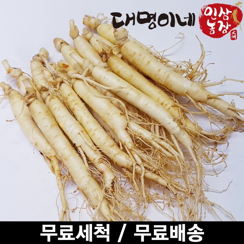 금산인삼 오쿠용 1회분 세척 인삼 수삼 난발 원삼(250g), 1개, 원삼 10~13뿌리(250g)