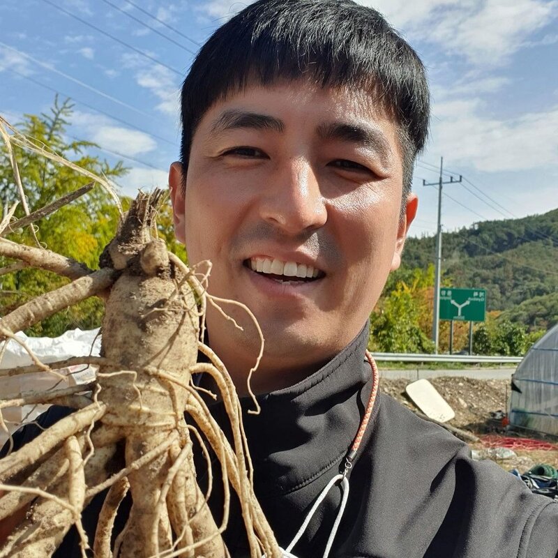 금산인삼 오쿠용 1회분 세척 인삼 수삼 난발 원삼(250g), 1개, 원삼 10~13뿌리(250g)