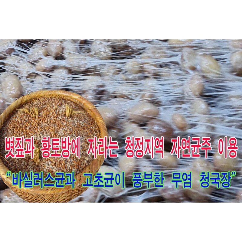 지리산산골 국산콩 무염생청국장 전통방식 청국장 5섯팩, 1kg, 1개