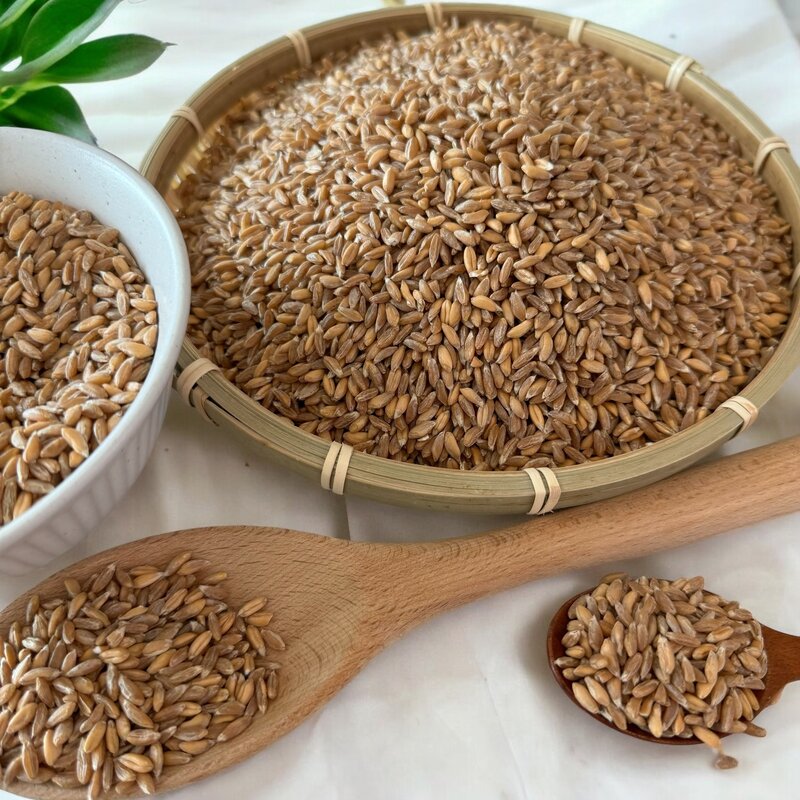 고대곡물 파로 FARRO, 2개, 1kg