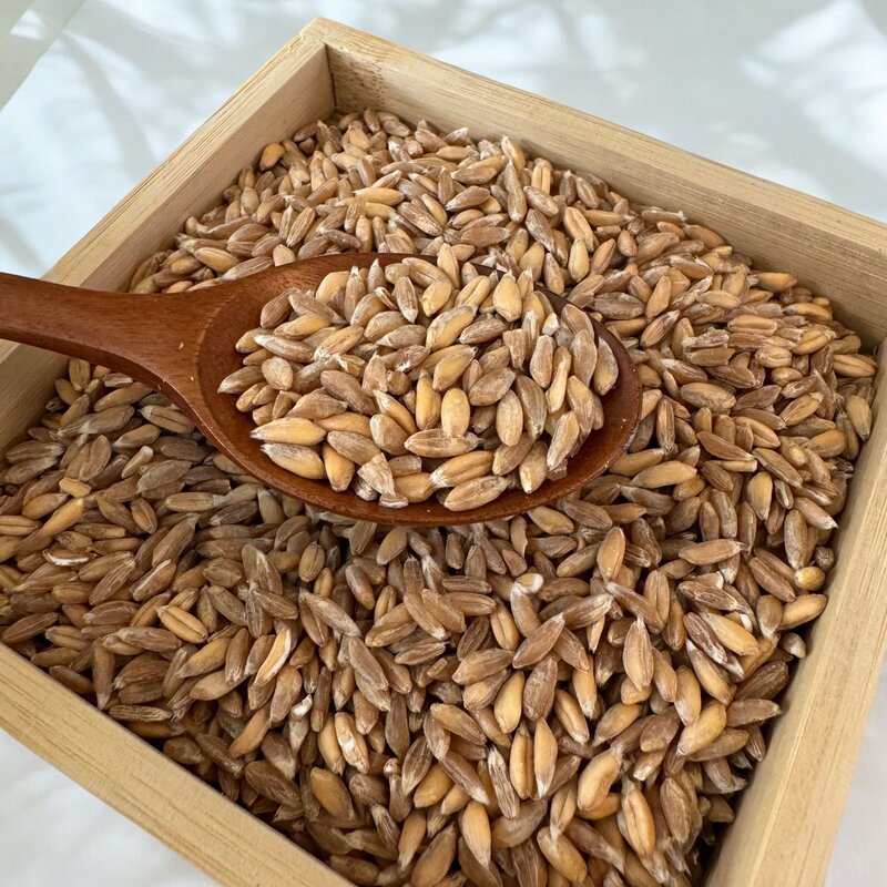 고대곡물 파로 FARRO, 2개, 1kg