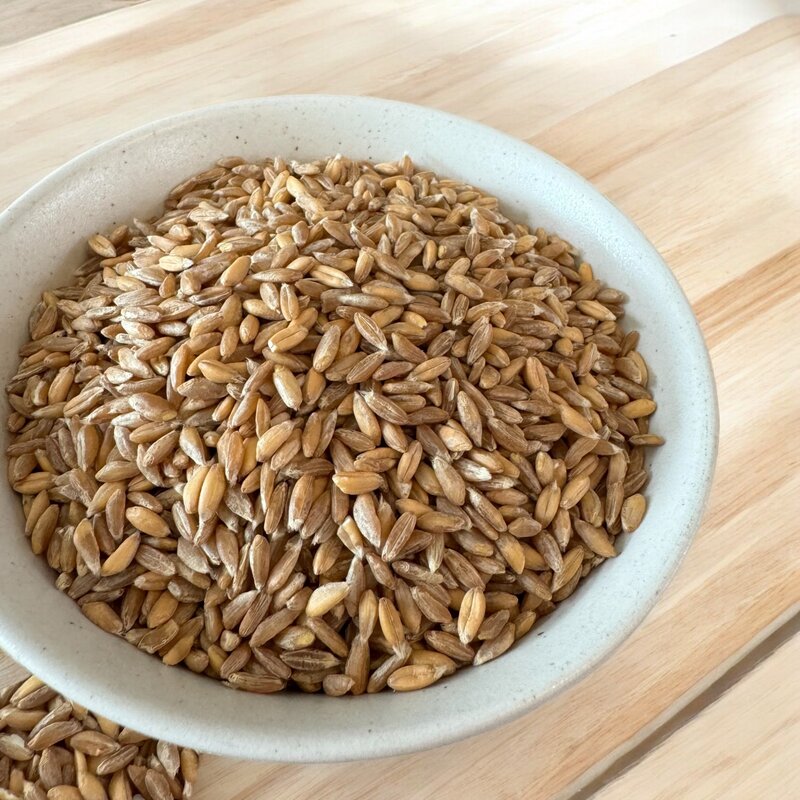 고대곡물 파로 FARRO, 2개, 1kg