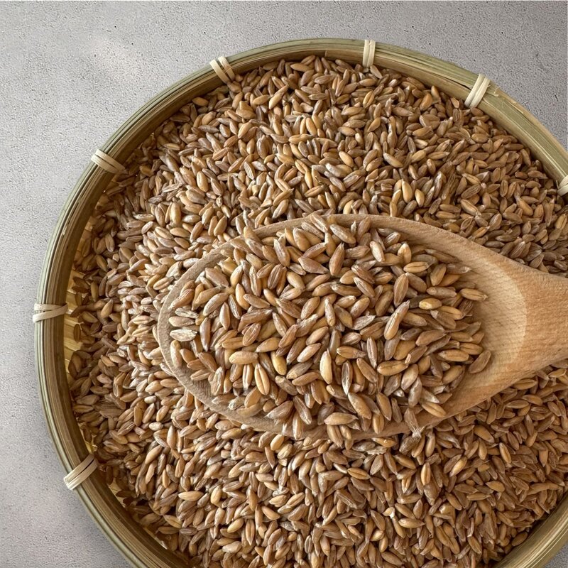 고대곡물 파로 FARRO, 2개, 1kg