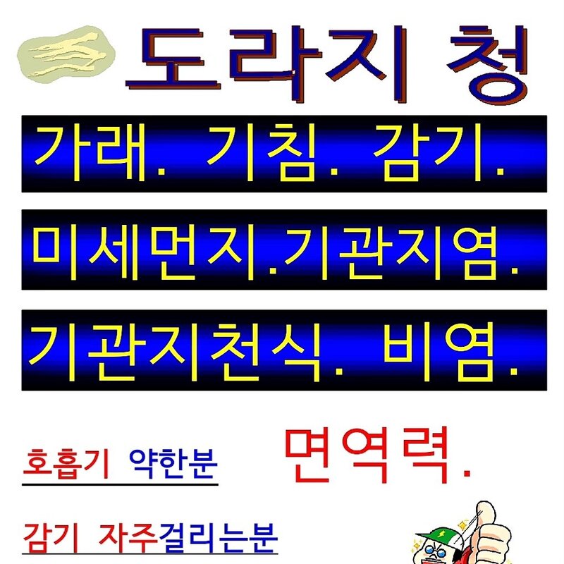 국산 도라지청 650g 무설탕 무색소 도라지차용 약도라지청 선물용, 1개