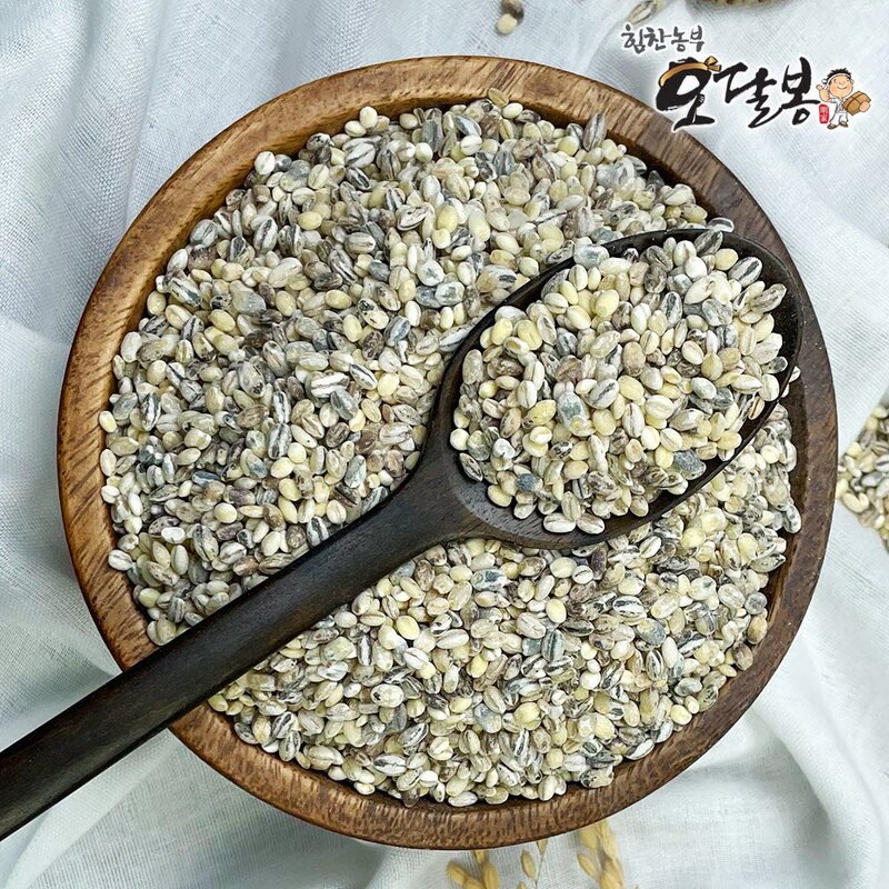 힘찬농부오달봉 국산 오색보리쌀 (늘보리 청보리 찰보리 흑보리 자색보리), 500g, 1개