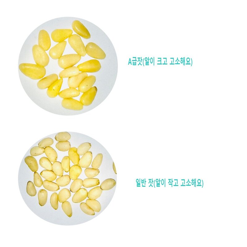 잣 수입잣 햇 중국잣 pine nut 깐잣, 500g, 일반(알이 작고 고..., 1개